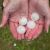 Gladwin Hail Damage by MC Roofing Management LLC